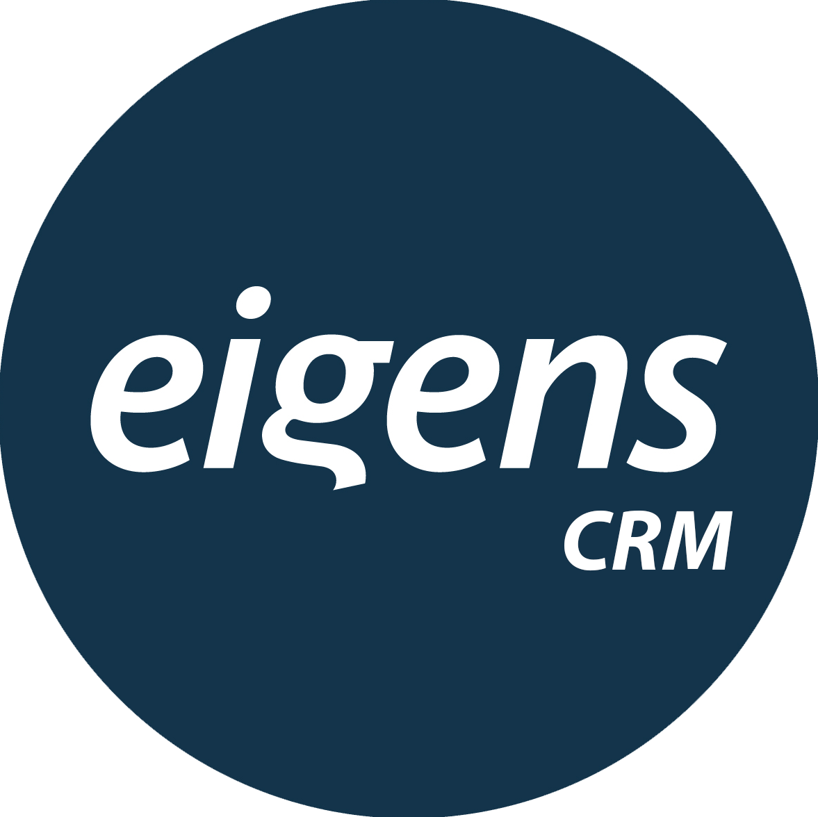 CRM Assistant Testing